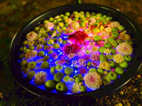 大雨/なお[弘前]