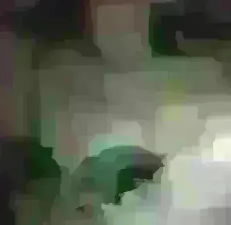 久しぶりだよ