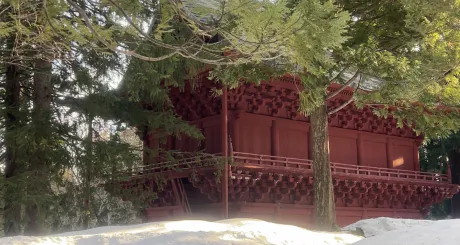 あさひ☆青森・大釈迦ハニービーNEXT