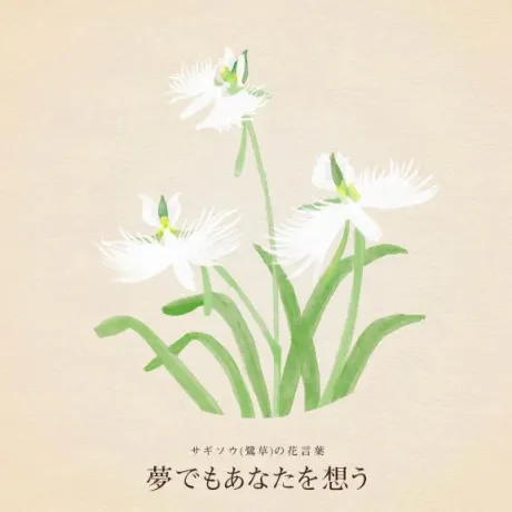 恵梨(えり)グランドオペラ福岡