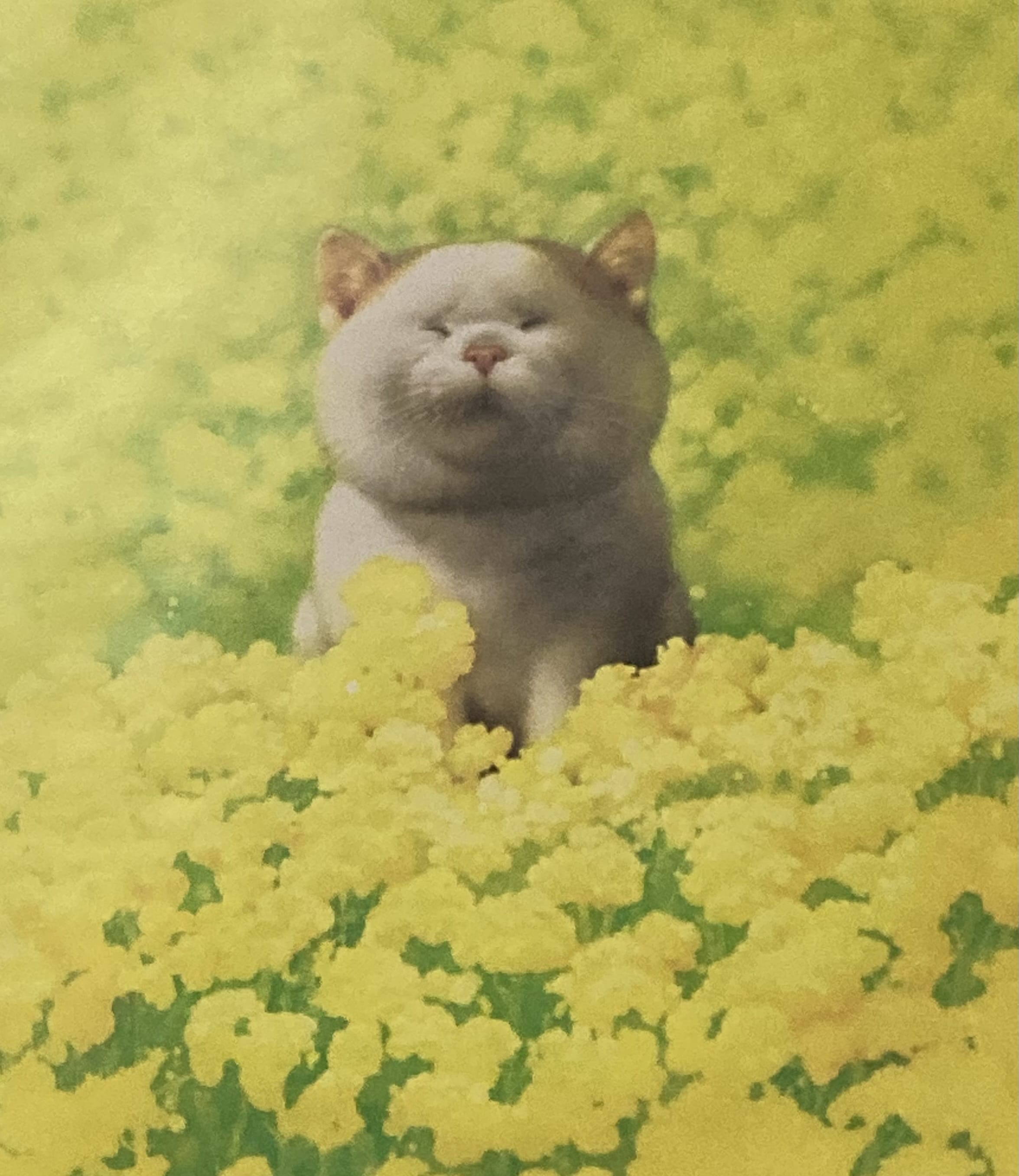 【人妻コース】ちさとMy Lover 八戸