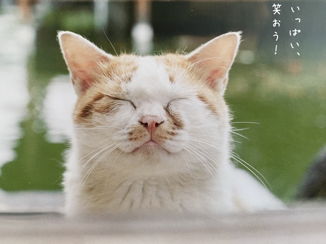 一日遅くなりましたが、