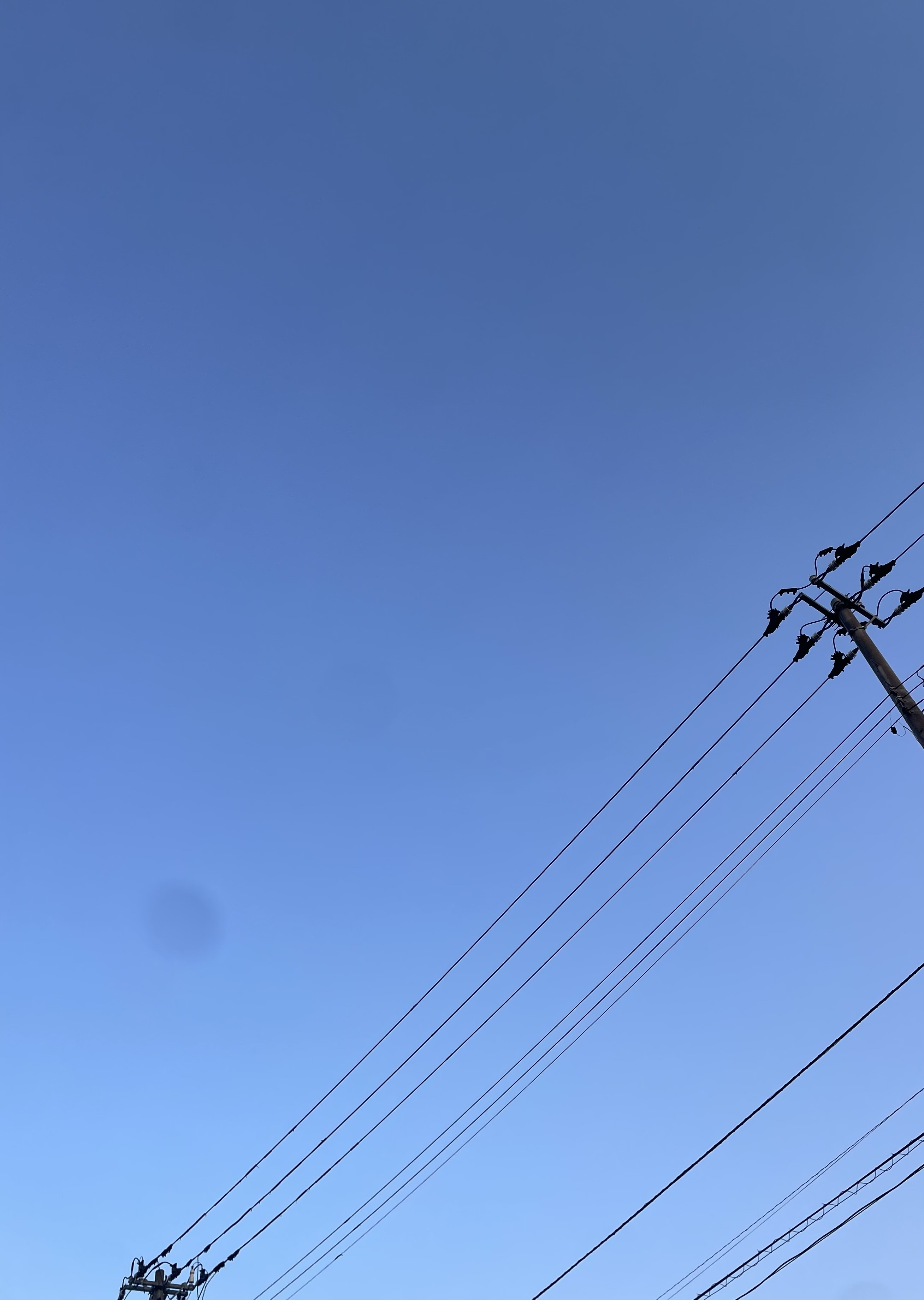 黄昏…(  ॑꒳ ॑)/あゆみ【青森大釈迦】