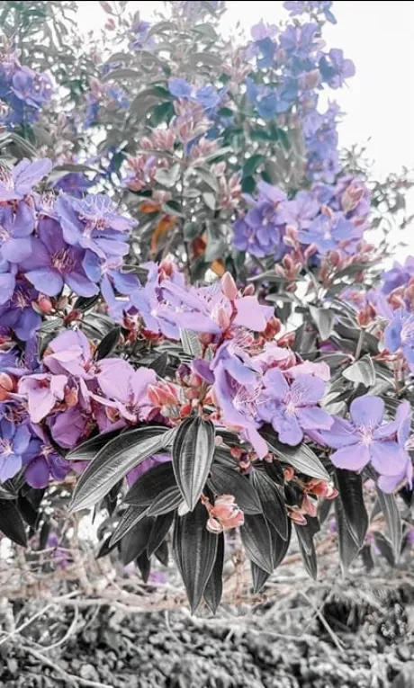 出勤しました/【人妻コース】ちさと