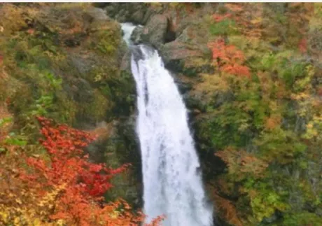 もみじのブログ 🍁