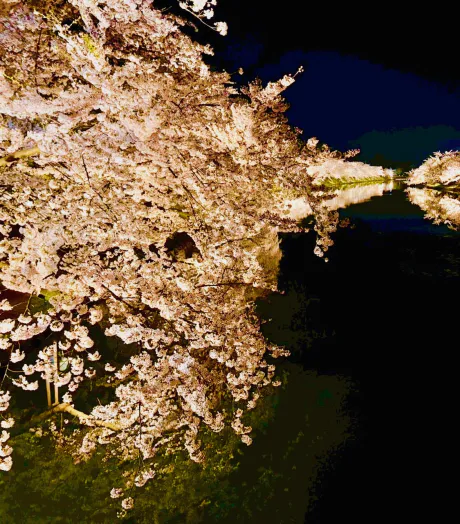 ✨お疲れさまでした🙇‍♀️✨/新人りこ【弘前】