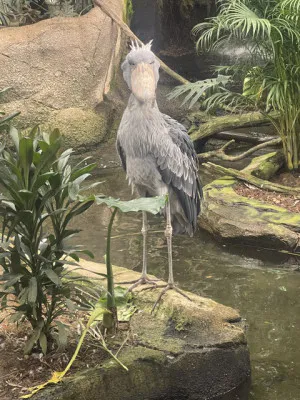 矛盾