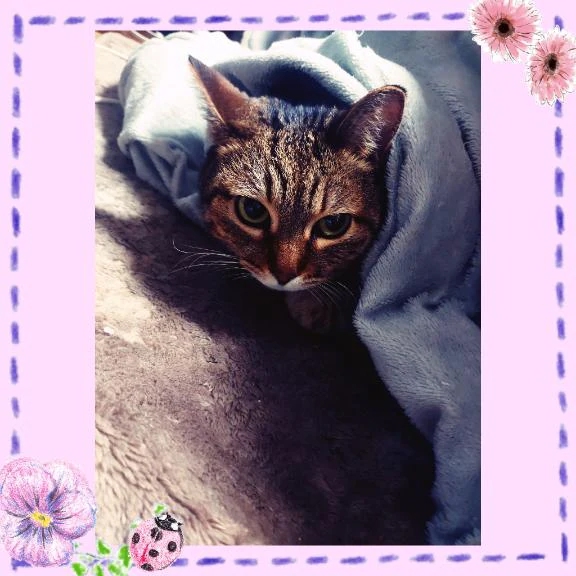 タイミングが/レミ