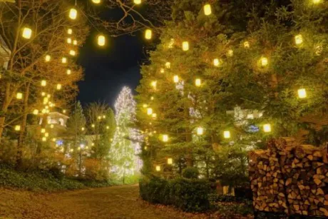 ことみ奥様鉄道69　仙台店