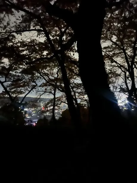 まな奥様メモリアル