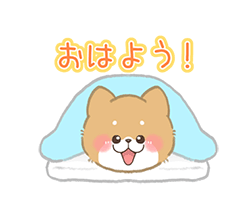 (✯ᴗ✯)💋おはよう御座います、みゆきです~💋