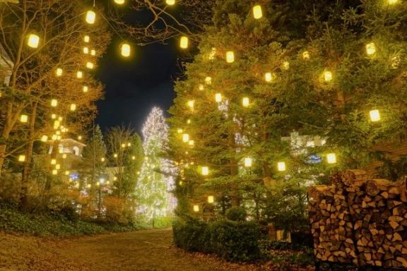 年末年始･レディースday予定のおしらせ🌹