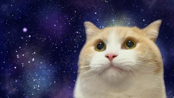 ルールは守ろう