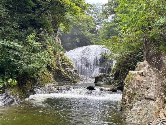 私の好きなこと