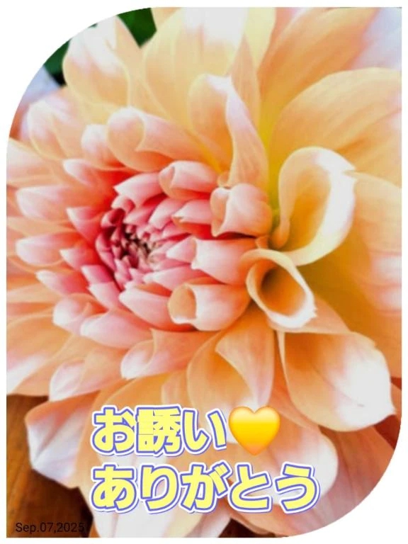 お誘い❤️ありがとう