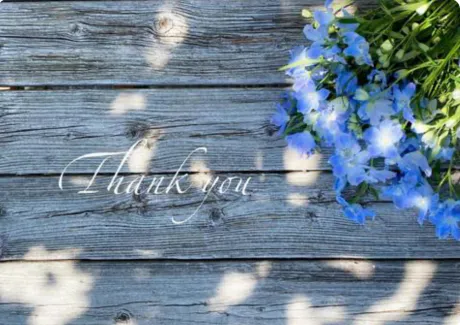 こんばんは 🌙* ゜ /ほのか[弘前/大釈迦]