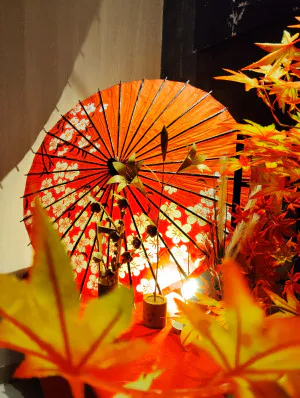 和と秋の/あやの 奥様