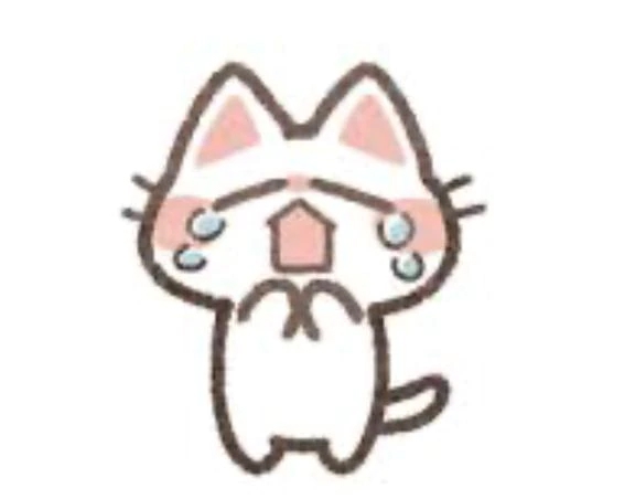 申し訳ありません🙇‍♀️