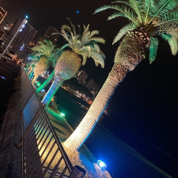 なつき奥様メモリアル