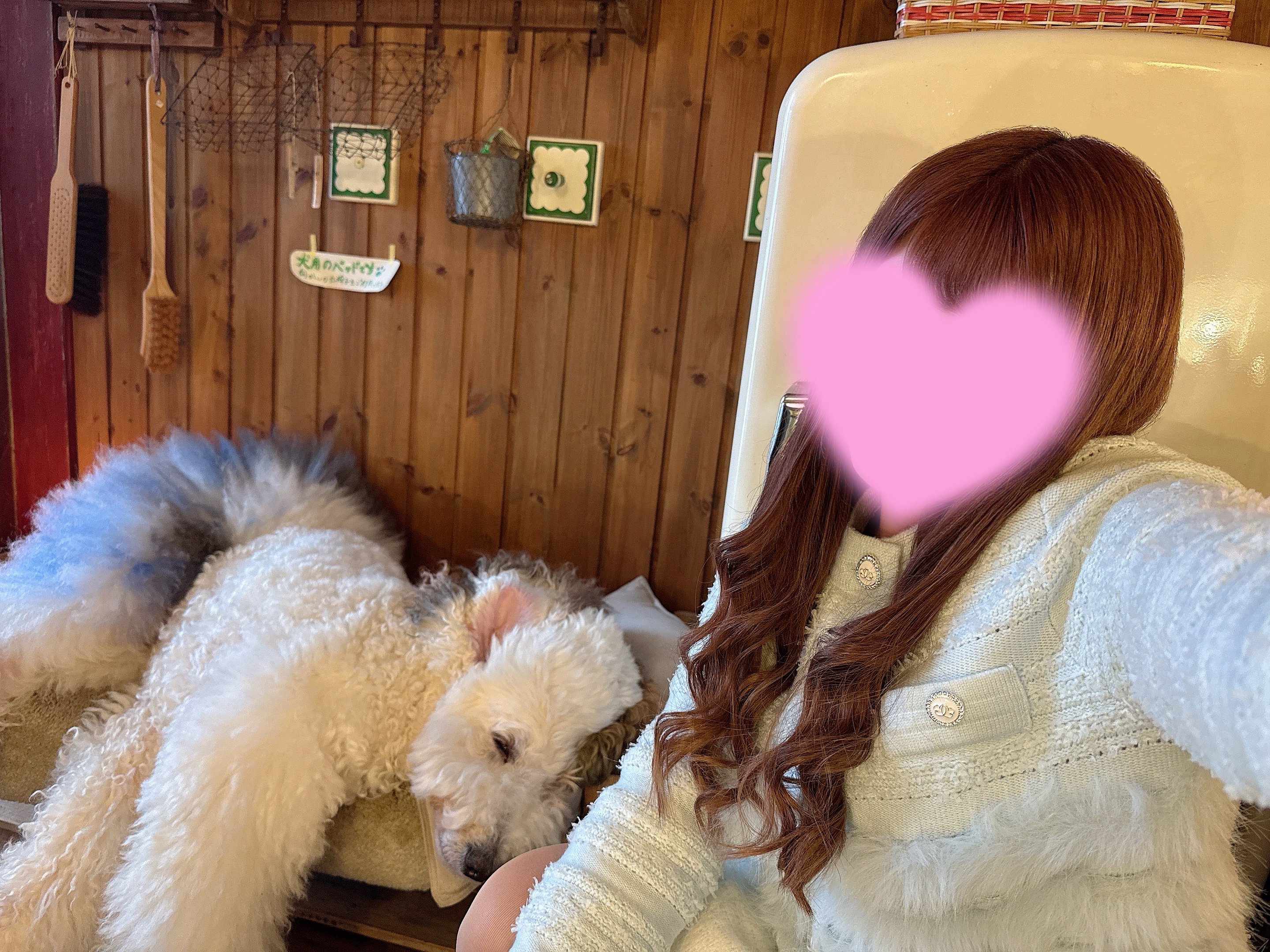 むつ店　かな【本日最終日】キューティーハニーズ