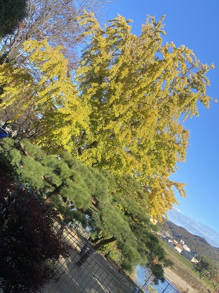 今年最後となりました ❄︎