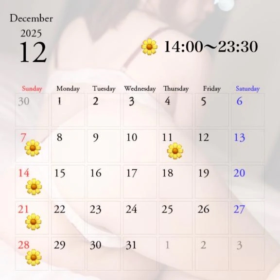 ご無沙汰してます┏○