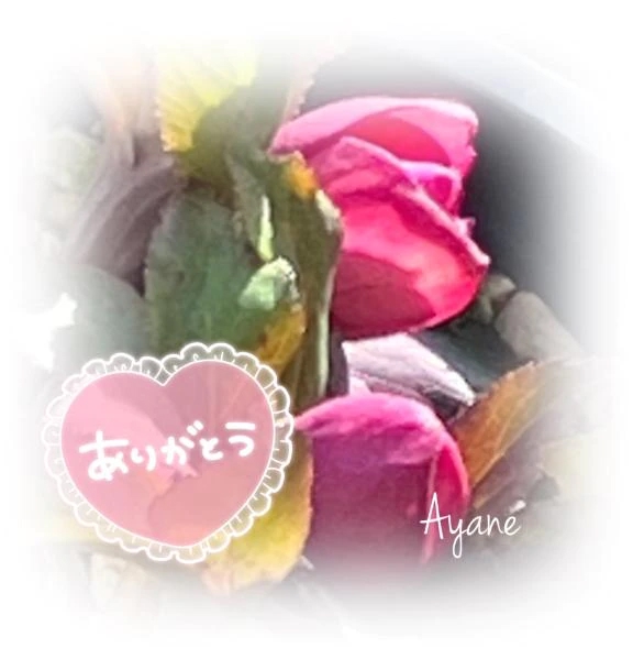 お声ありがとう♪