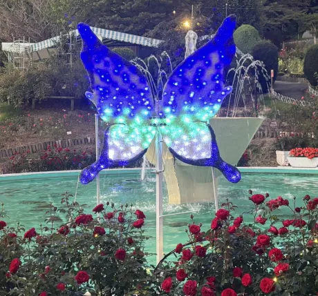 ありがとう♡/☆ともか奥様