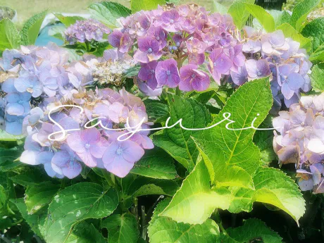 Summer🌻/さゆり