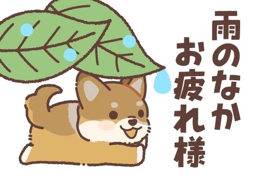 雨