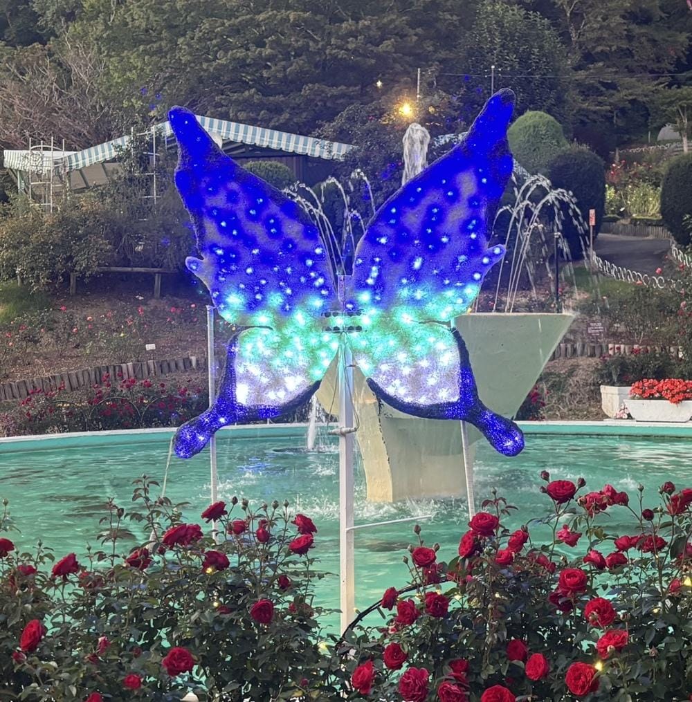 🎀本日出勤🎀