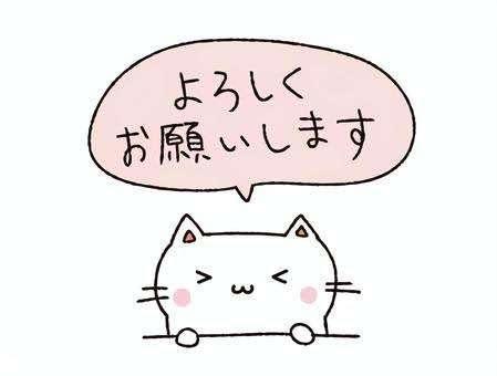 本日は。♥️