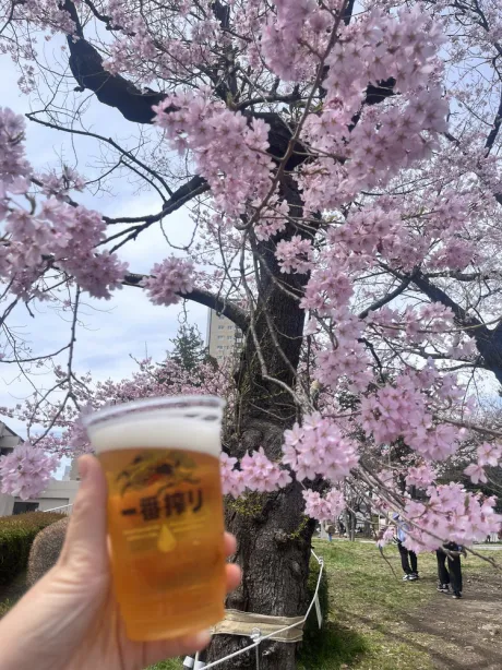 お花見 🌸/エマ
