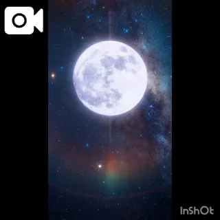 🌹出来ないと言う勇気/しき　奥様