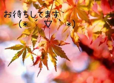 いつもの/ゆきえ
