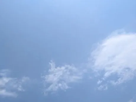 タエ人妻生レンタルーNTRー