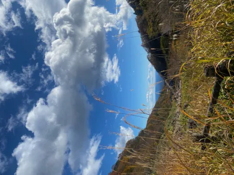 出勤予定アップしました✨/小倉　百合