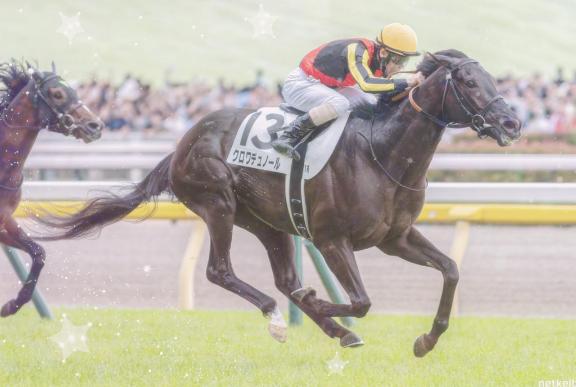 💌競馬の話で時間が…🩵