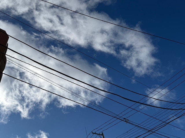 ももこです(^з^)出勤しました