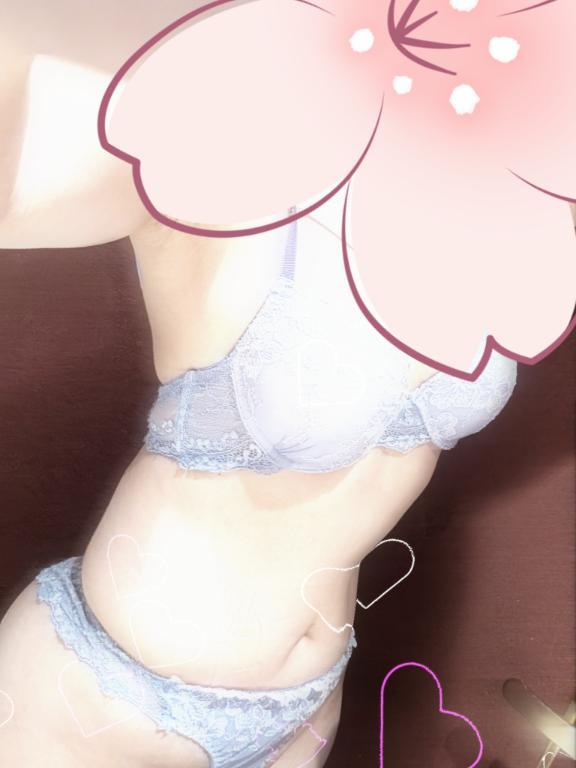 ステラ❤️