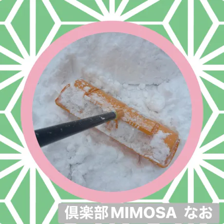新人なおさん[弘前]MIMOSA