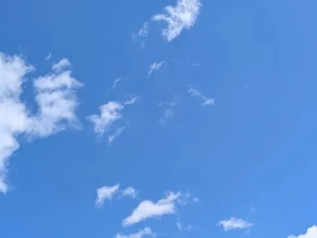 タエ人妻生レンタルーNTRー