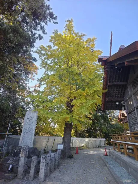 ルイ奥様生レンタル-古川店-
