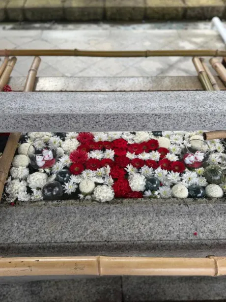 ヒヨリ人妻生レンタルーNTRー