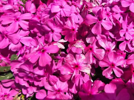 04/26 23:31後藤(ごとう)