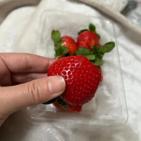 なぎさREGALO 久留米店