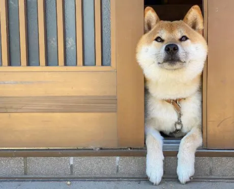 くみ　奥様SUTEKIな奥様は好きですか？