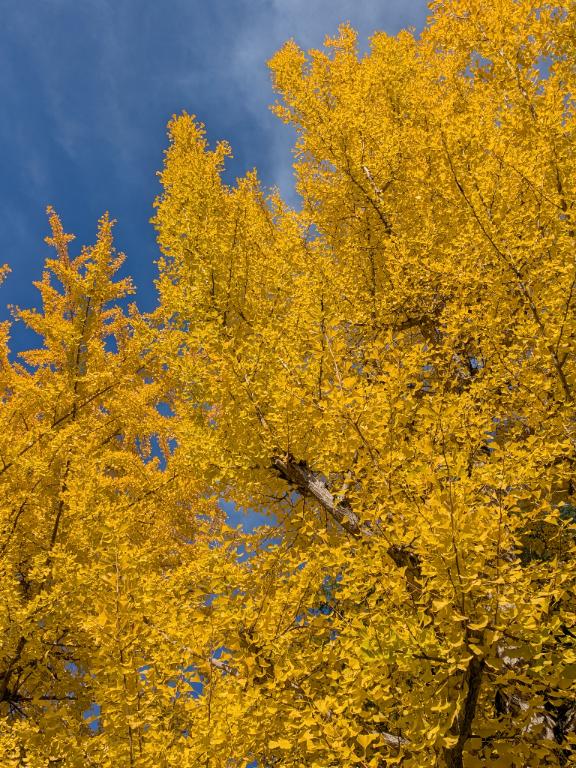 おはようございます^_^