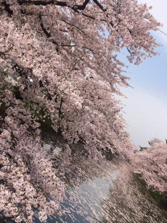 新人あず奥様メモリアル