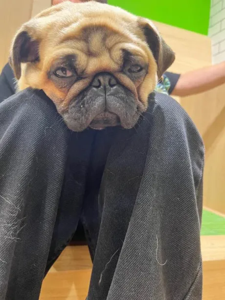 るる即プレイ専門店　性の極み